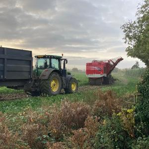 Cath Scott Sugar Beet Harvest Nov 2021